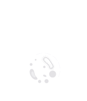 10th Edition of World Congress on Infectious Diseases