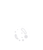 10th Edition of World Congress on Infectious Diseases