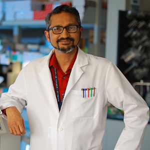 Infectious Diseases Conferences